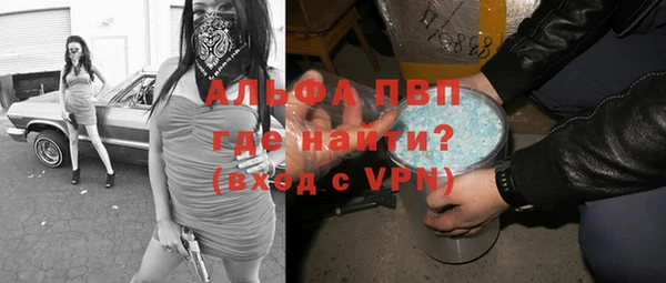 хмурый Алзамай