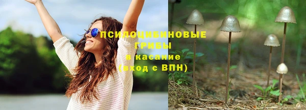 эйфоретик Алексин