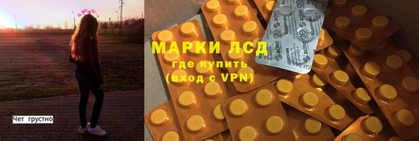 хмурый Алзамай