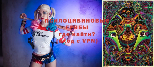 хмурый Алзамай