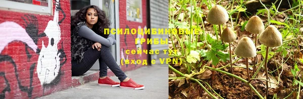 эйфоретик Алексин