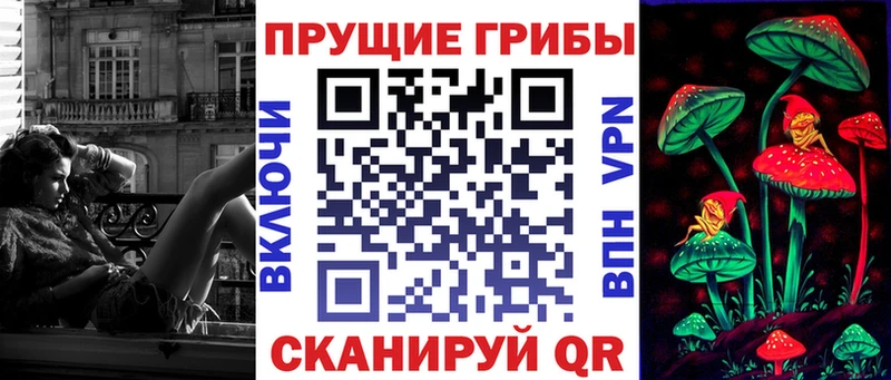 наркота  Пикалёво  Галлюциногенные грибы Psilocybine cubensis 